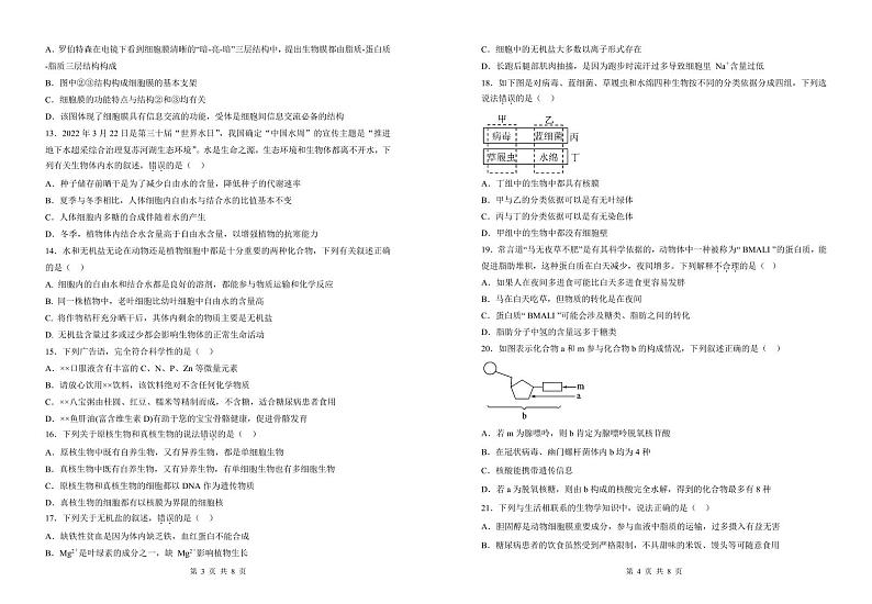 甘肃省武威第一中学2024-2025学年高一上学期11月期中生物试题第2页