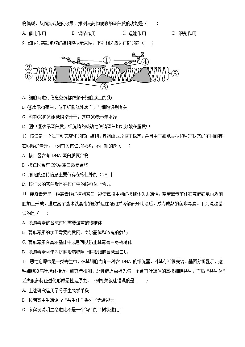 黑龙江省龙东地区2024-2025学年高一上学期阶段测试（期中）生物试卷（二）  Word版无答案第3页