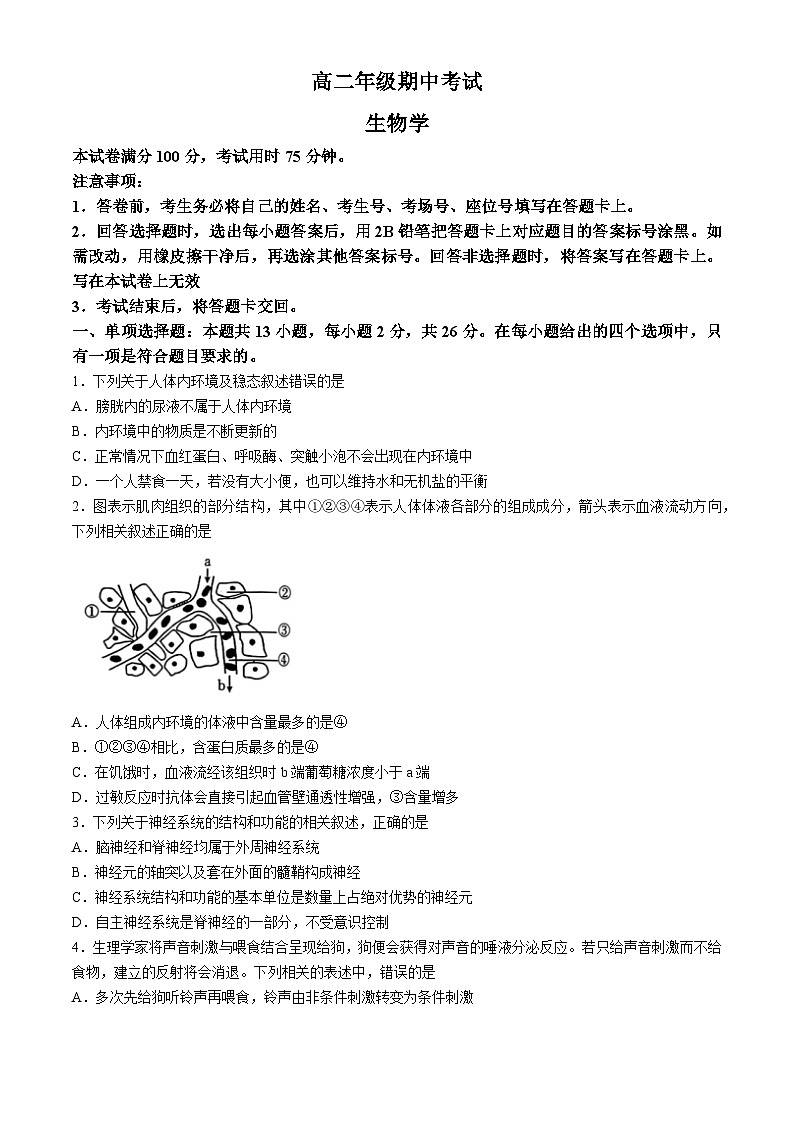 河北省邯郸市2024-2025学年高二上学期11月期中考试生物试卷（Word版附解析）01