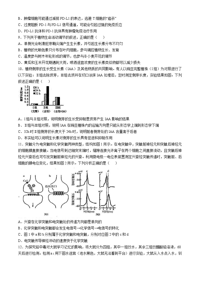 福建省龙岩市一级校联盟2024-2025学年高二上学期11月期中联考生物试卷（Word版附答案）第3页