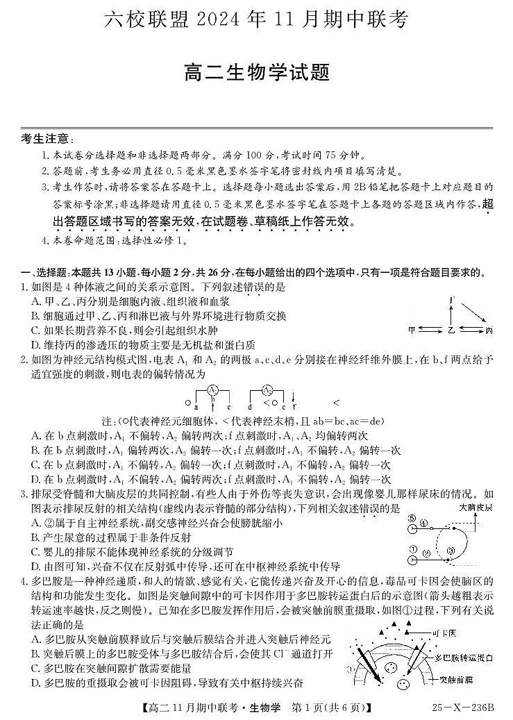 生物-金T阳六校联盟2024-2025学年高二上学期11月期中考试第1页