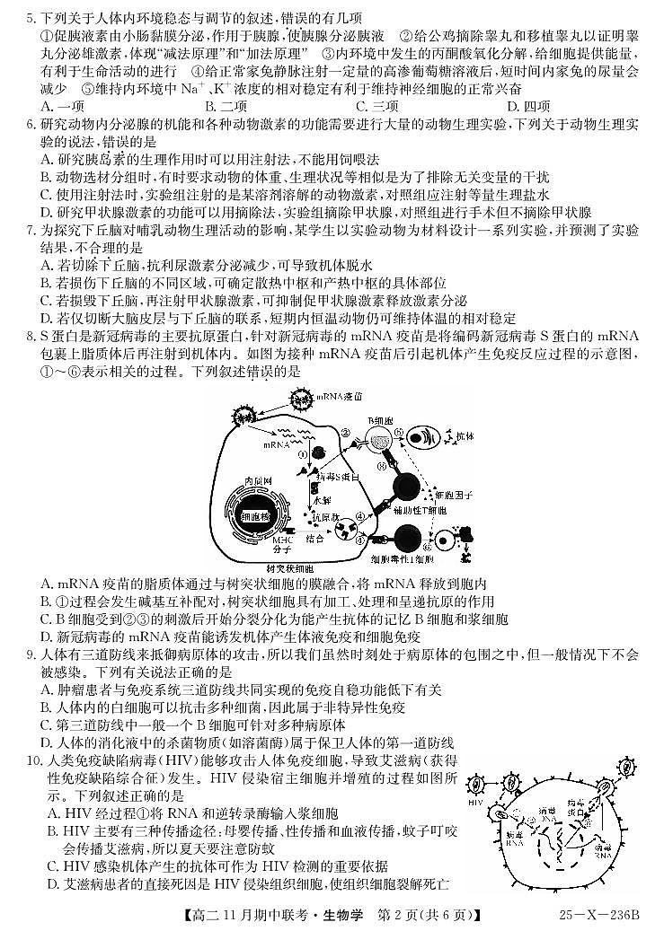 生物-金T阳六校联盟2024-2025学年高二上学期11月期中考试第2页