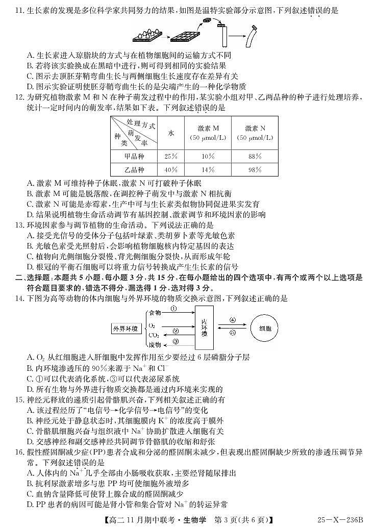 生物-金T阳六校联盟2024-2025学年高二上学期11月期中考试第3页