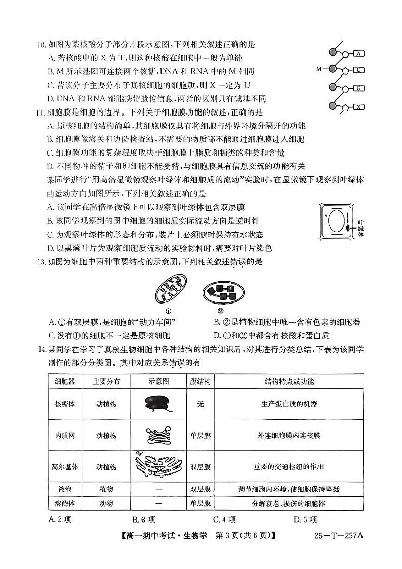 贵州省毕节市威宁民族中学2024-2025学年高一上学期期中生物试题第3页