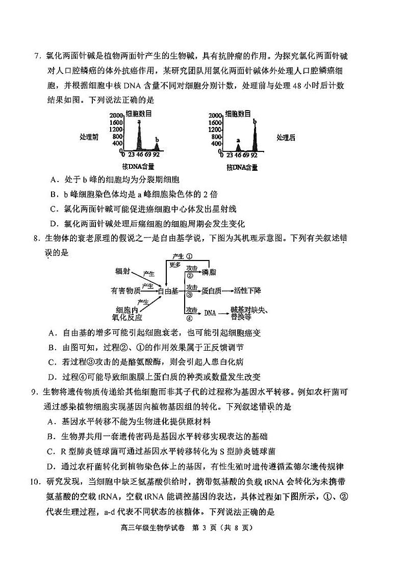 天津市河西区2024-2025学年高三上学期期中生物试卷第3页