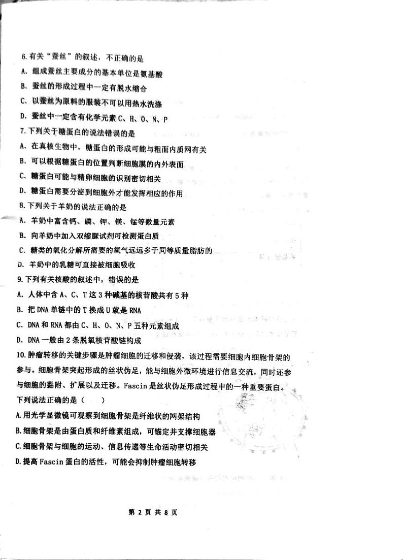 广东省汕头市潮阳区棉城中学2024-2025学年高一上学期期中考试生物试题第2页