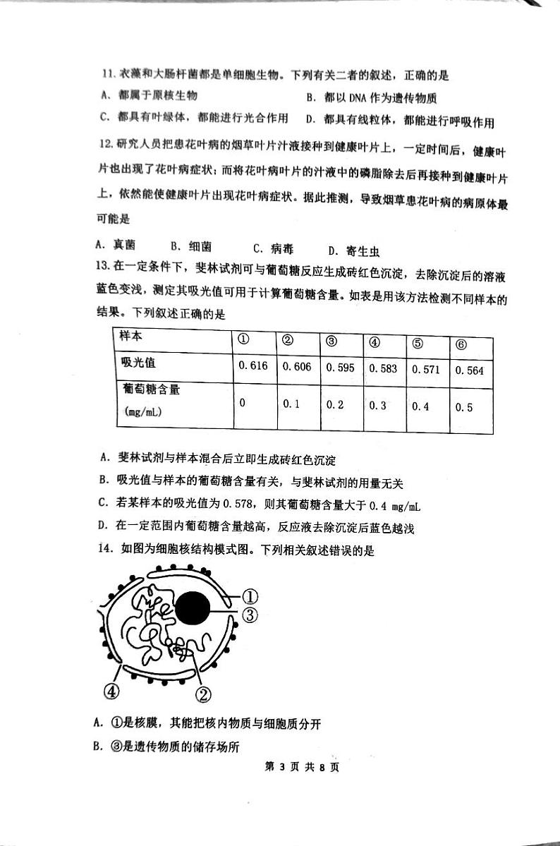 广东省汕头市潮阳区棉城中学2024-2025学年高一上学期期中考试生物试题第3页