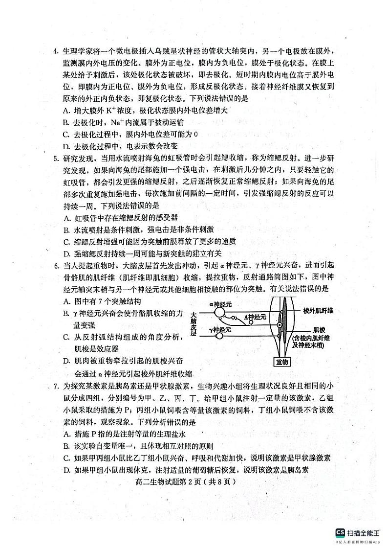 山东省潍坊市四市2024-2025学年高二上学期11月期中生物试题第2页