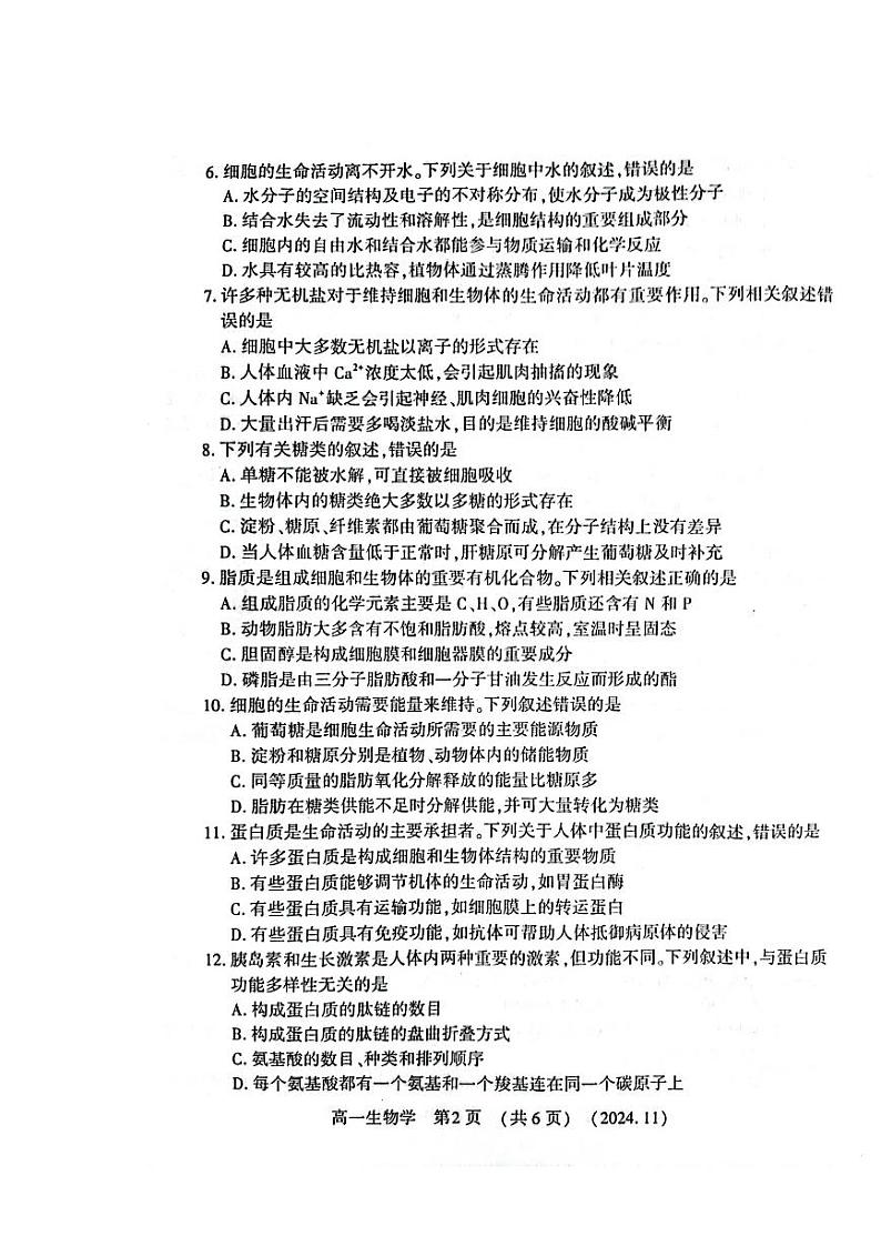 河南省洛阳市2024-2025学年高一上学期期中考试生物试卷第2页
