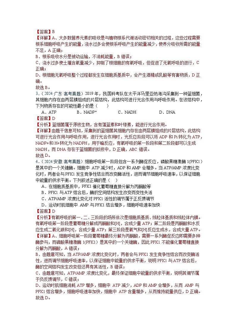 专题05  细胞呼吸与光合作用（解析版）第2页