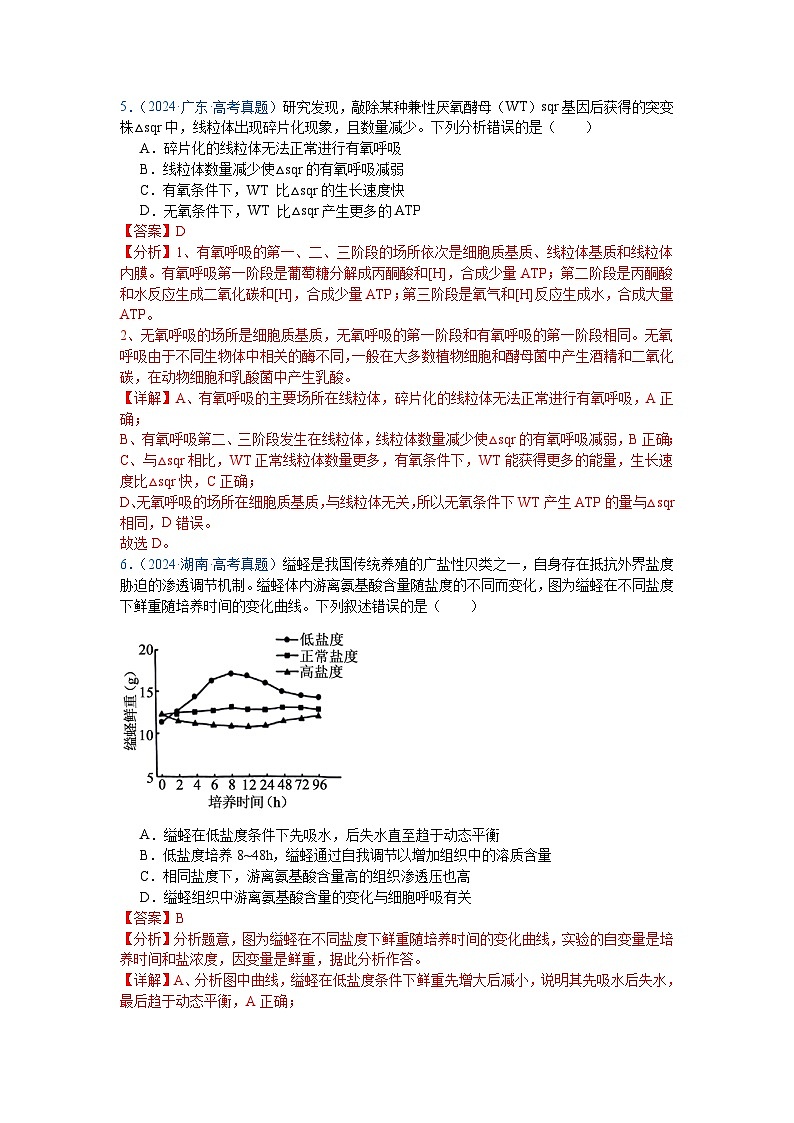 专题05  细胞呼吸与光合作用（解析版）第3页