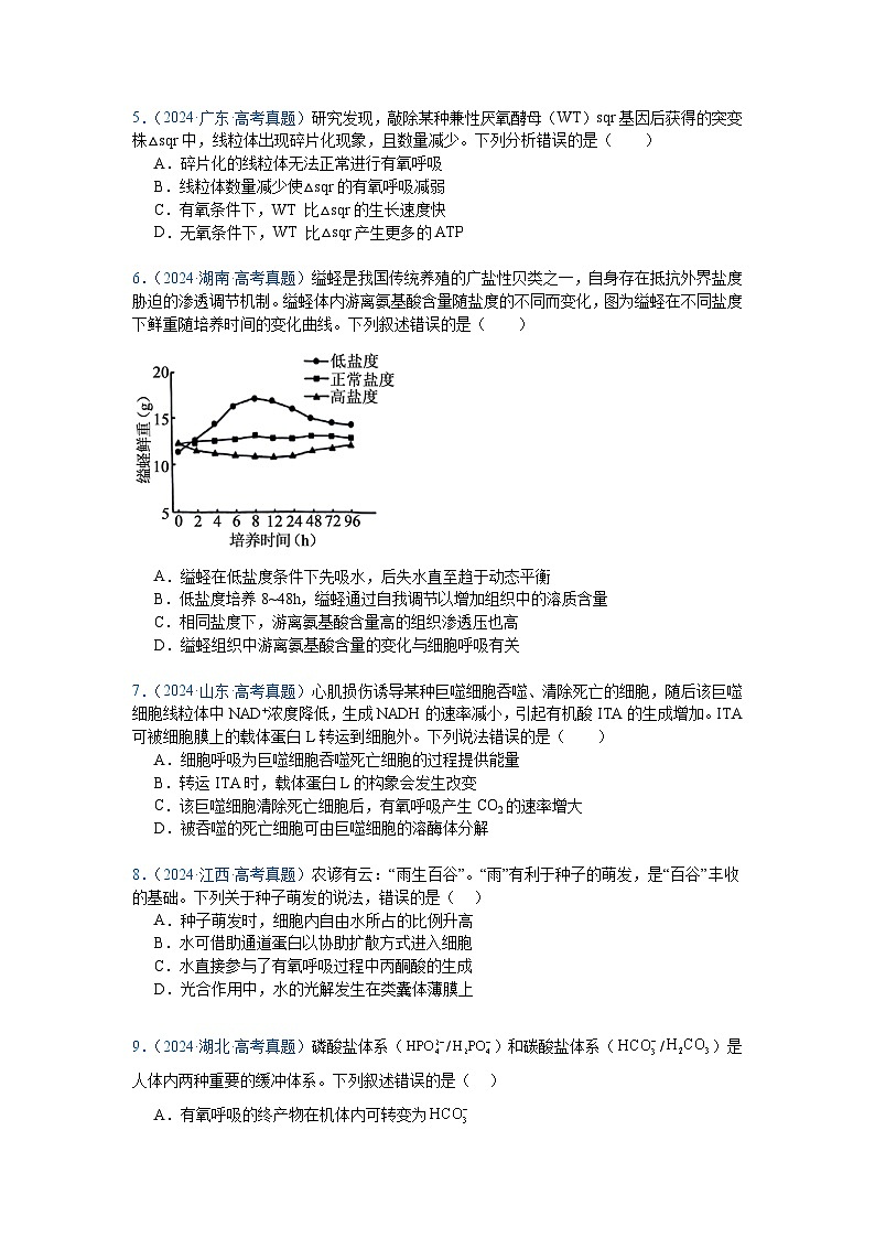 专题05  细胞呼吸与光合作用（原卷版）第2页