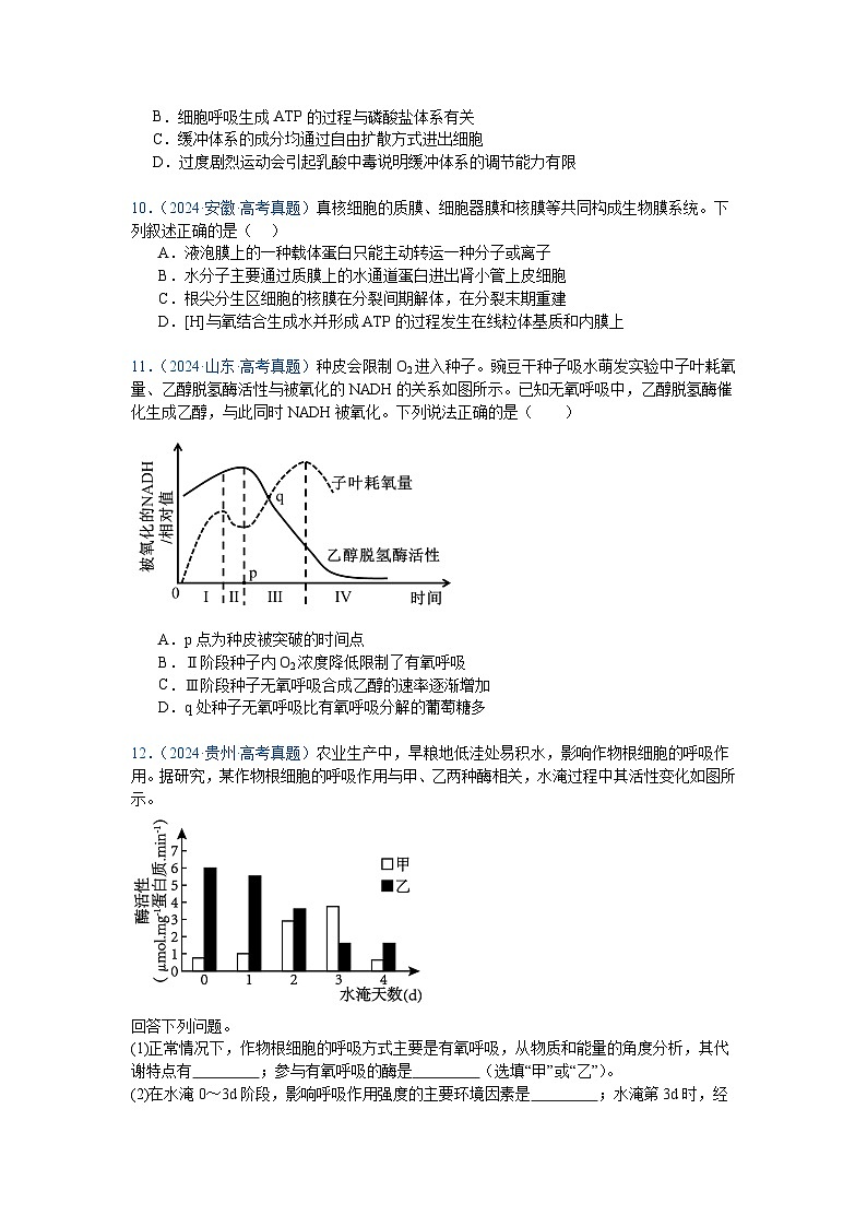 专题05  细胞呼吸与光合作用（原卷版）第3页