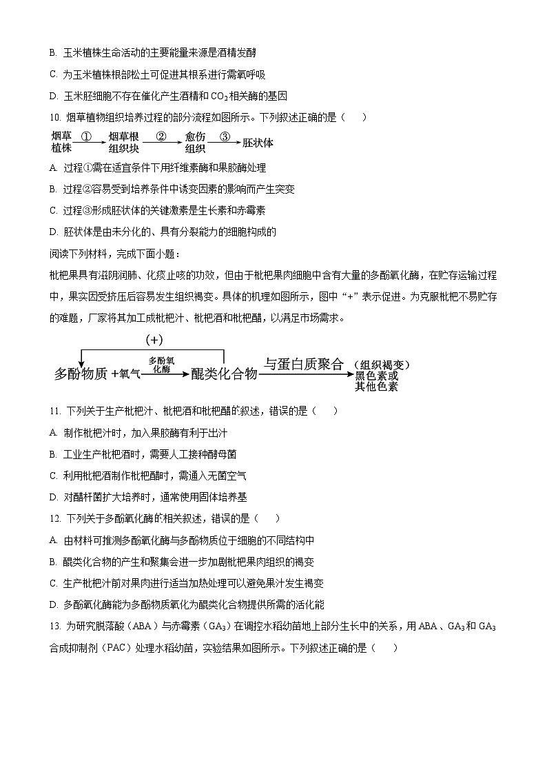 浙江省杭州市2024-2025学年高三上学期教学质量检测生物试题无答案第3页