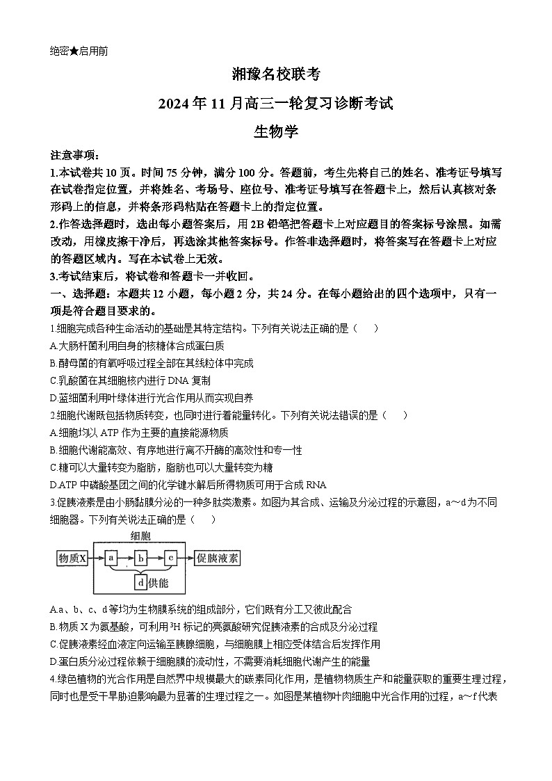 2025安阳林州湘豫名校联考高三上学期11月一轮诊断考试生物含解析01
