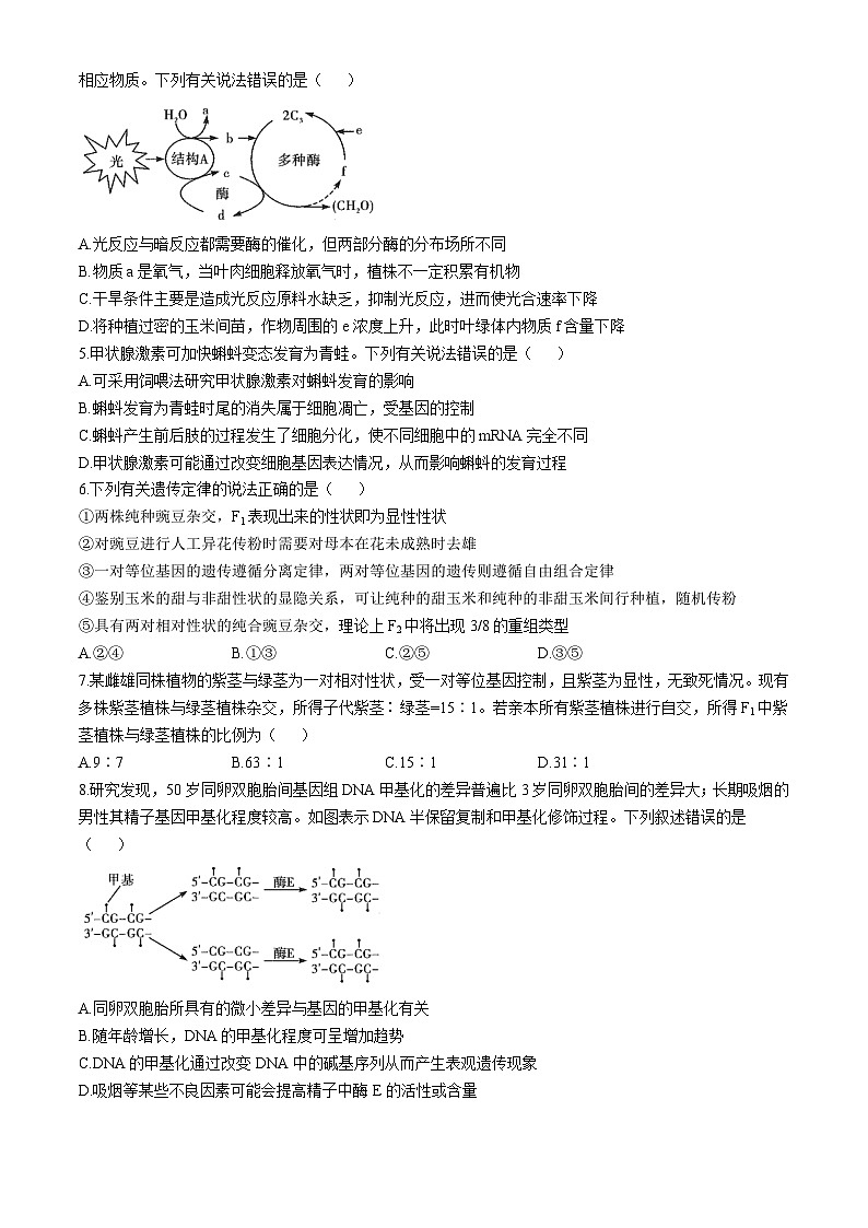 2025安阳林州湘豫名校联考高三上学期11月一轮诊断考试生物含解析02