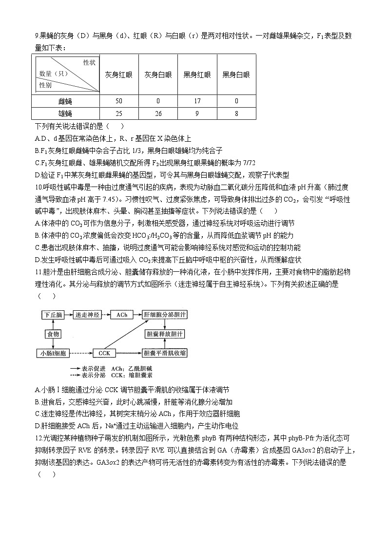 2025安阳林州湘豫名校联考高三上学期11月一轮诊断考试生物含解析03