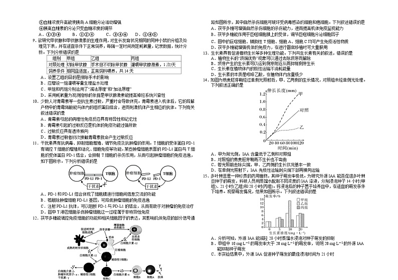 2025长春外国语学校高二上学期10月期中考试生物含答案第2页