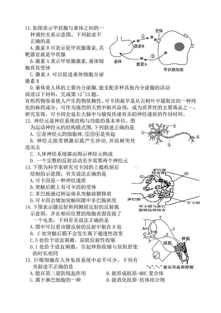 浙江省诸暨中学暨阳分校2024-2025学年高二上学期11月期中考试生物试题第3页