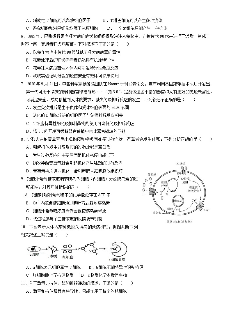 北京市广渠门中学2024-2025学年高二上学期11月期中考试生物试卷第2页