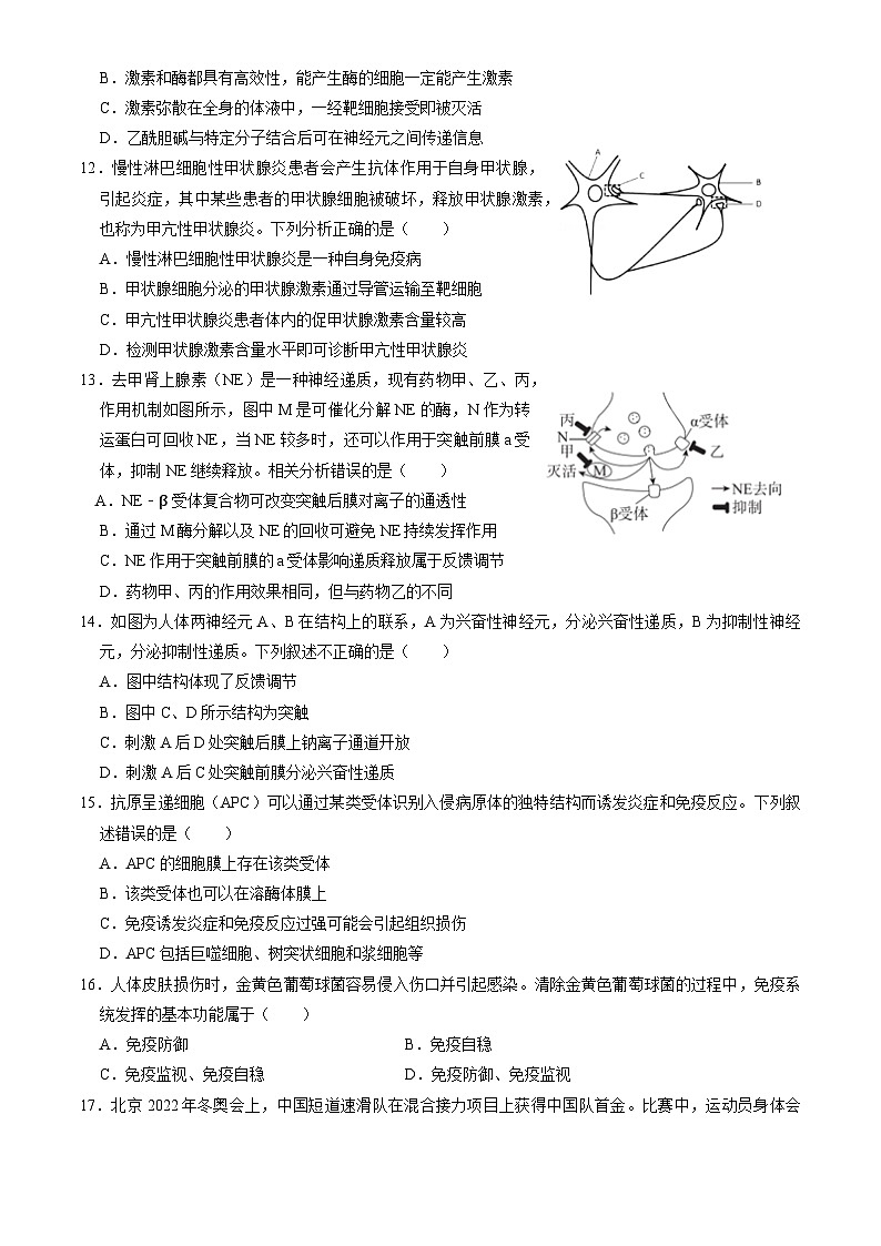 北京市广渠门中学2024-2025学年高二上学期11月期中考试生物试卷第3页