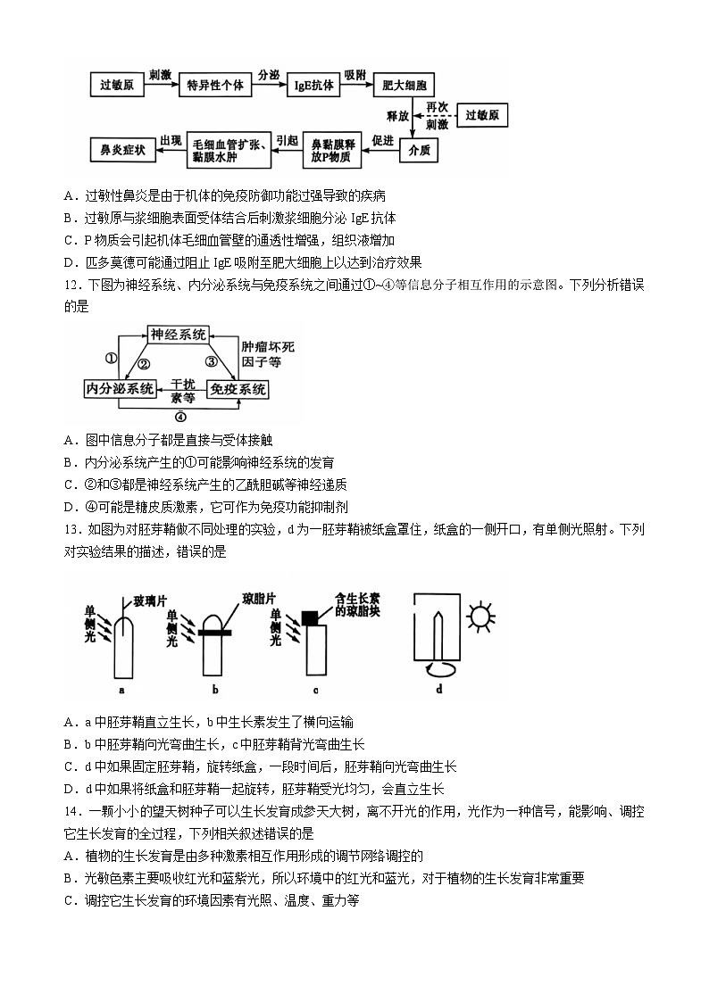 河南省郑州市中牟县2024-2025学年高二上学期11月期中生物试题(无答案)第3页