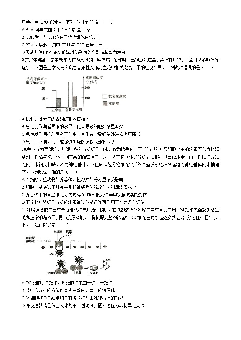山东省德州市2024-2025学年高二上学期11月期中生物试题(无答案)第3页