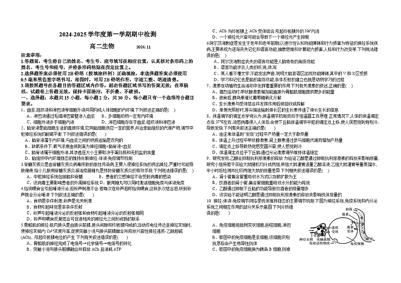 山东省枣庄市第一中学2024-2025学年高二上学期中考试生物试题第1页
