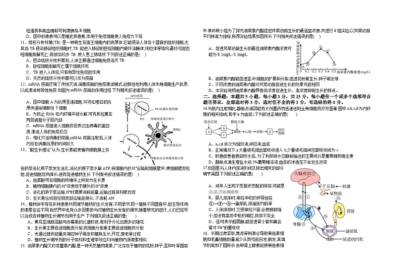 山东省枣庄市第一中学2024-2025学年高二上学期中考试生物试题第2页