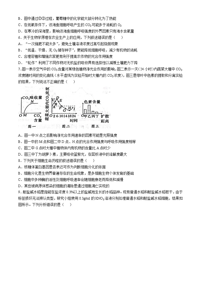 天津市五区县重点校联考2024-2025学年高三上学期期中考试生物试题02