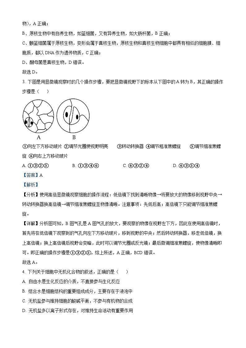 精品解析：陕西省西安市铁一中学2024-2025学年高一上学期期中考试生物试题 （解析版）第2页