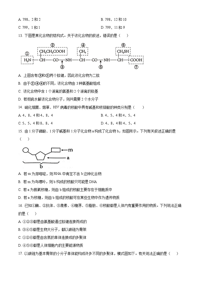 精品解析：陕西省西安市铁一中学2024-2025学年高一上学期期中考试生物试题 （原卷版）第3页