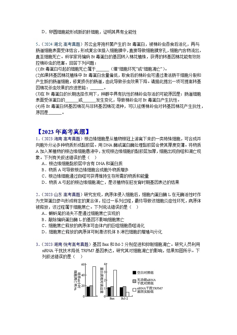 【高考生物】  高考真题分类汇编合集（2020-2024五年）专题07  细胞的分化、衰老、凋亡及癌变02