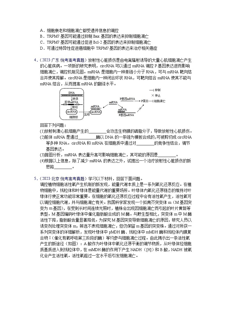 【高考生物】  高考真题分类汇编合集（2020-2024五年）专题07  细胞的分化、衰老、凋亡及癌变03