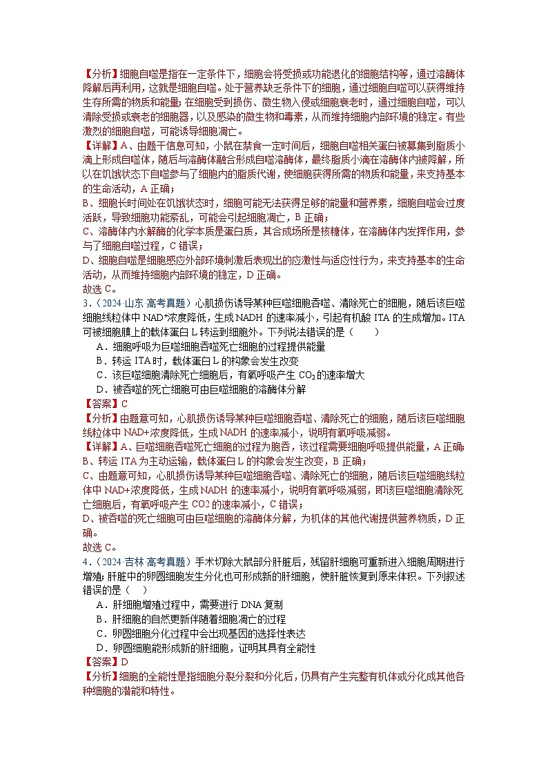 【高考生物】  高考真题分类汇编合集（2020-2024五年）专题07  细胞的分化、衰老、凋亡及癌变02