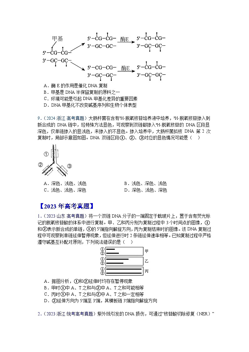专题08  遗传的分子基础（原卷版）第3页
