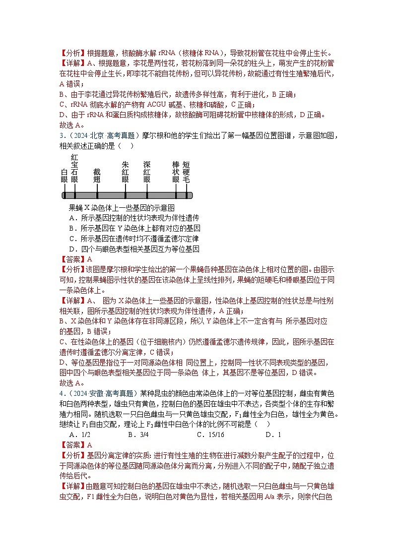 专题09  基因的分离定律（解析版）第2页