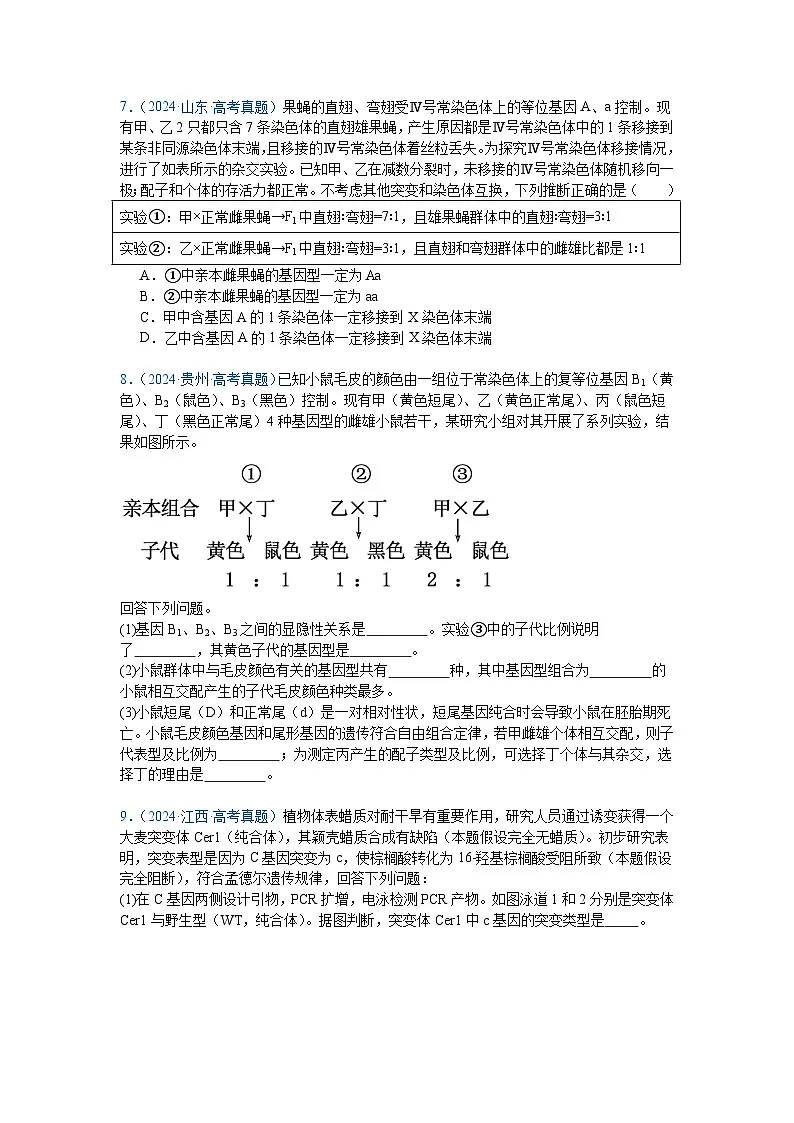 专题10 基因的自由组合定律（原卷版）第3页