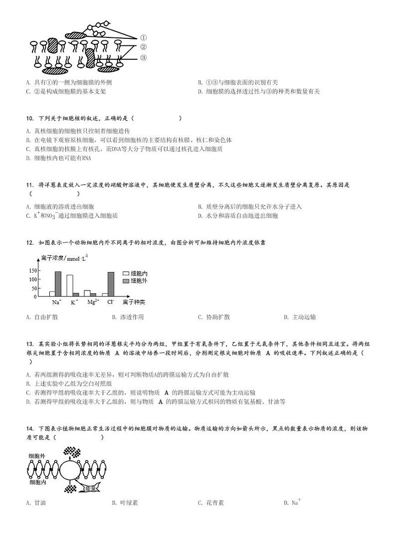 2024～2025学年贵州毕节咸宁彝族回族苗族自治县高一(上)期中生物试卷(第八中学)[原题+解析]第2页