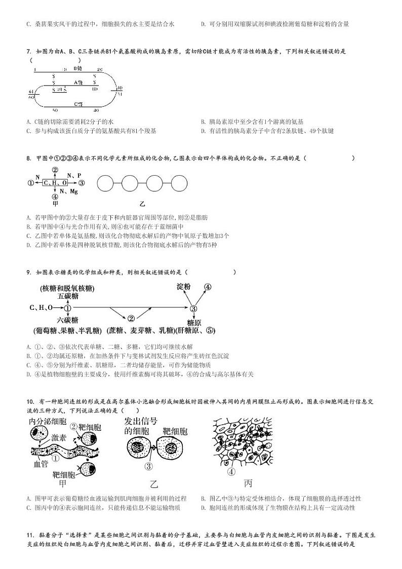 2024～2025学年陕西西安蓝田县西安市田家炳中学高一(上)期中生物试卷(大学区联考 11月)[原题+解析]第2页