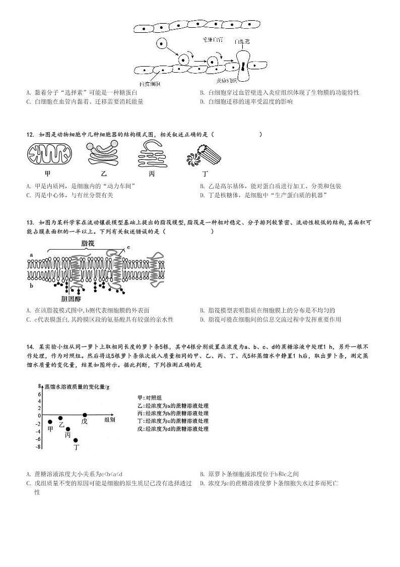 2024～2025学年陕西西安蓝田县西安市田家炳中学高一(上)期中生物试卷(大学区联考 11月)[原题+解析]第3页