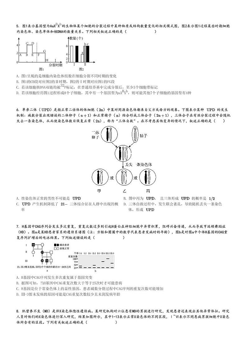 2024～2025学年四川成都青羊区成都市树德中学高三(上)期中生物试卷[原题+解析]第2页