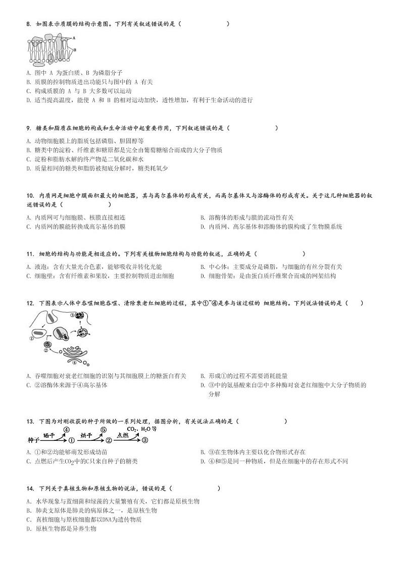 2024～2025学年湖南邵阳邵东市高一(上)期中生物试卷(创新高级中学)[原题+解析]第2页