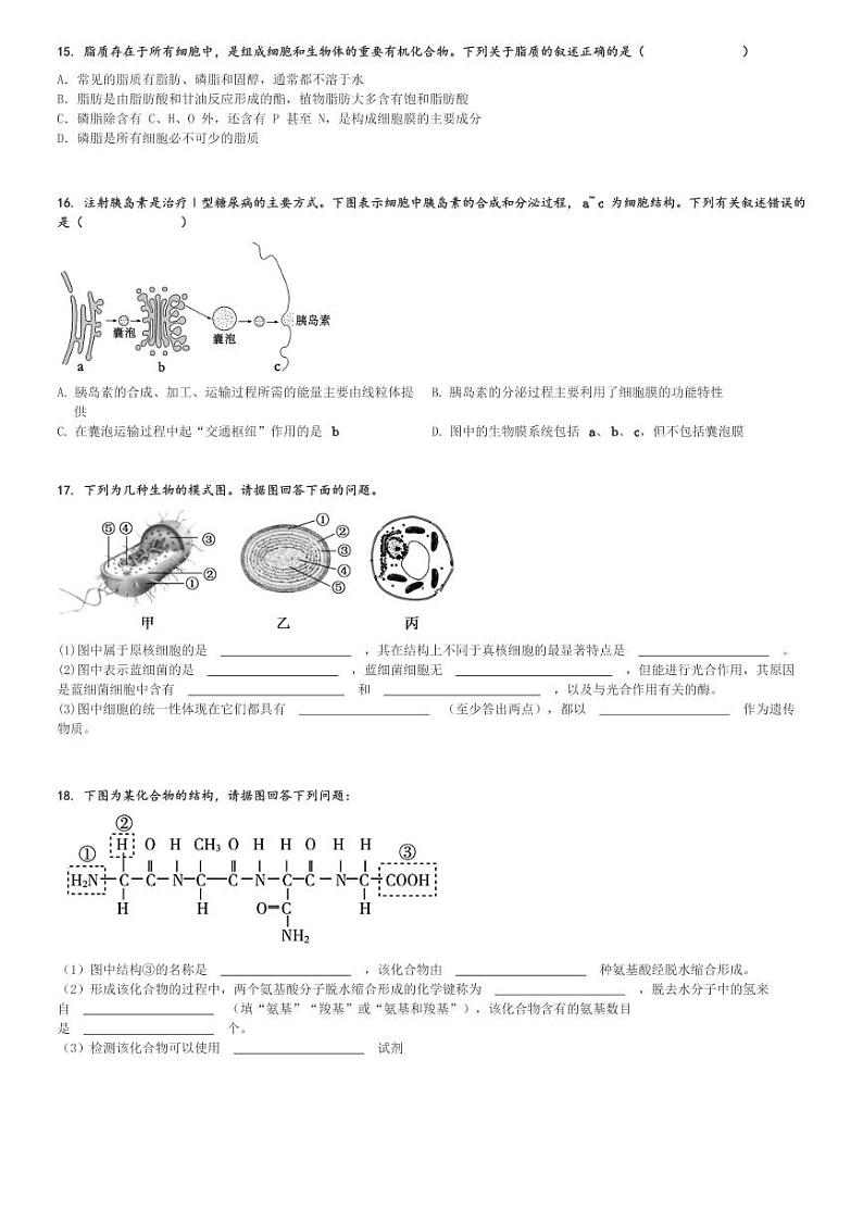 2024～2025学年湖南邵阳邵东市高一(上)期中生物试卷(创新高级中学)[原题+解析]第3页