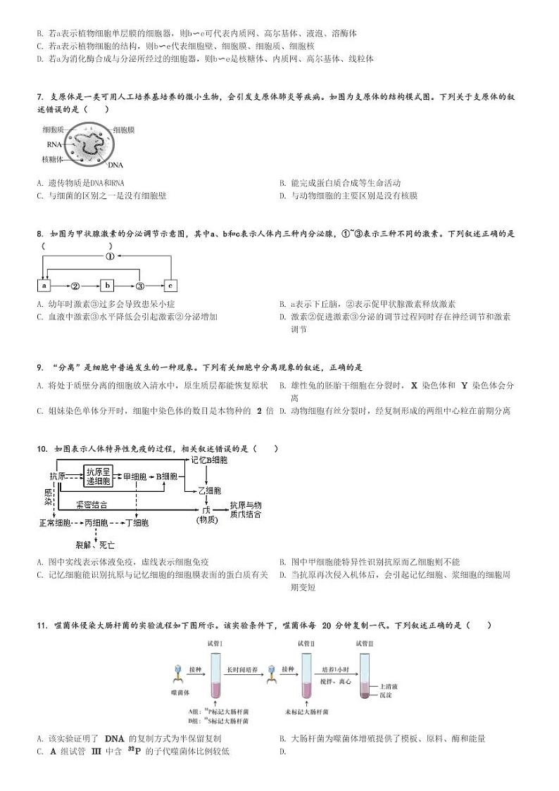 2024～2025学年浙江宁波高二(上)期中生物试卷(五校联盟 )[原题+解析]第2页