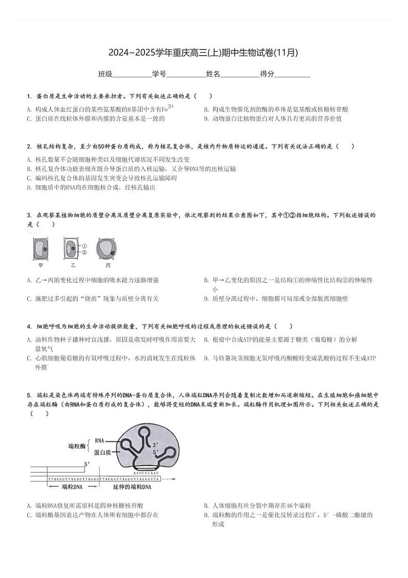 2024～2025学年重庆高三(上)期中生物试卷(11月)[原题+解析]第1页