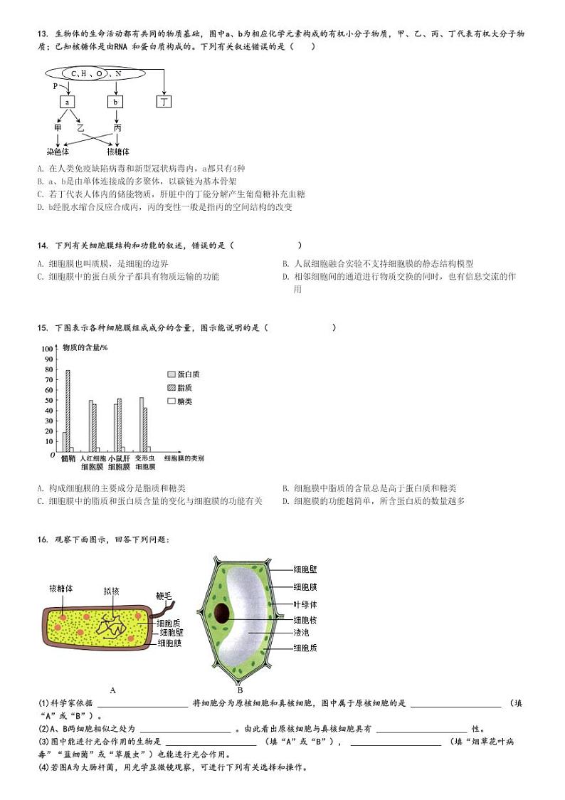 2024～2025学年安徽池州贵池区高一(上)期中生物试卷(检测)[原题+解析]第3页
