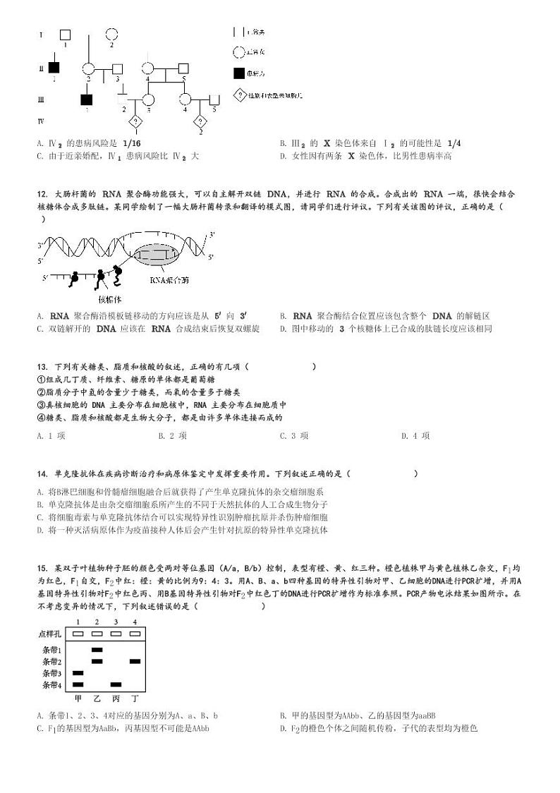 2024～2025学年四川成都成华区四川省成都列五中学高三(上)期中生物试卷[原题+解析]第3页