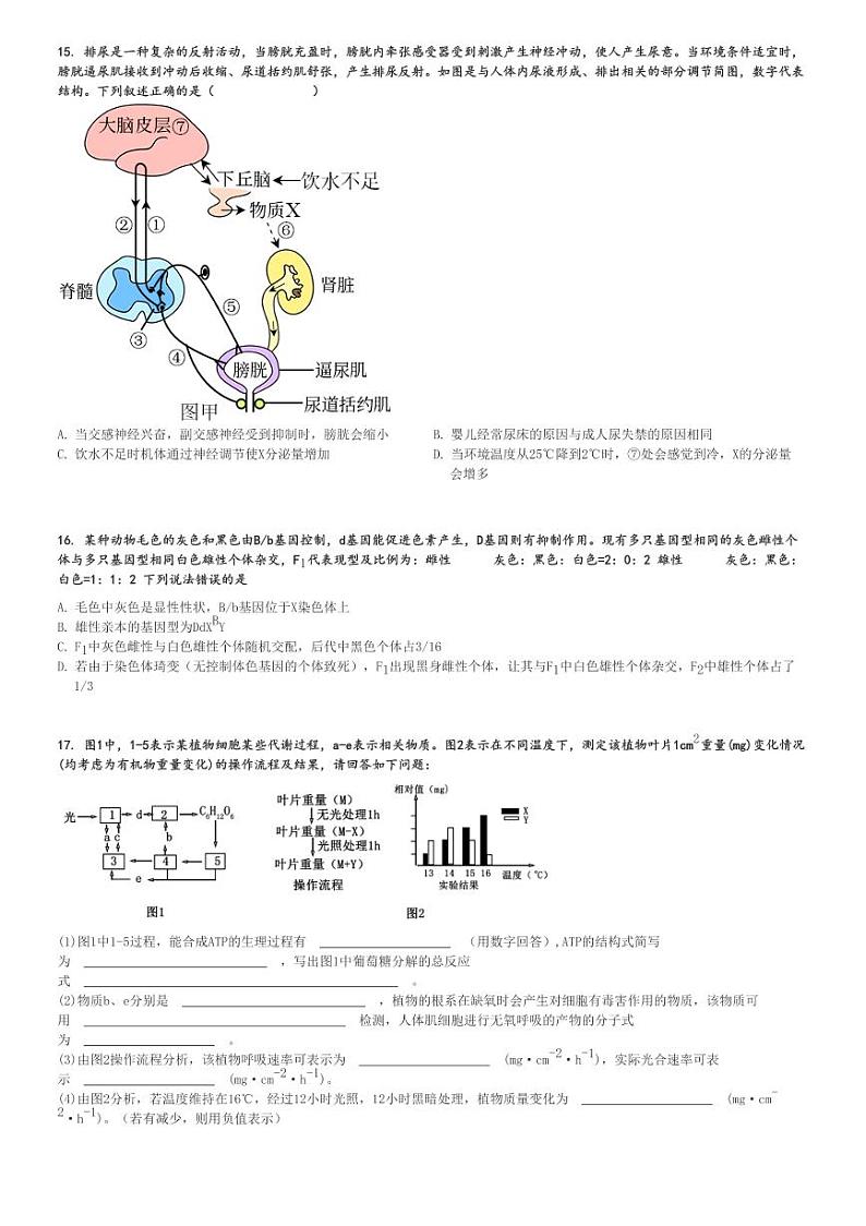 2024～2025学年广东茂名信宜市信宜市信宜中学高二(上)期中生物试卷[原题+解析]第3页