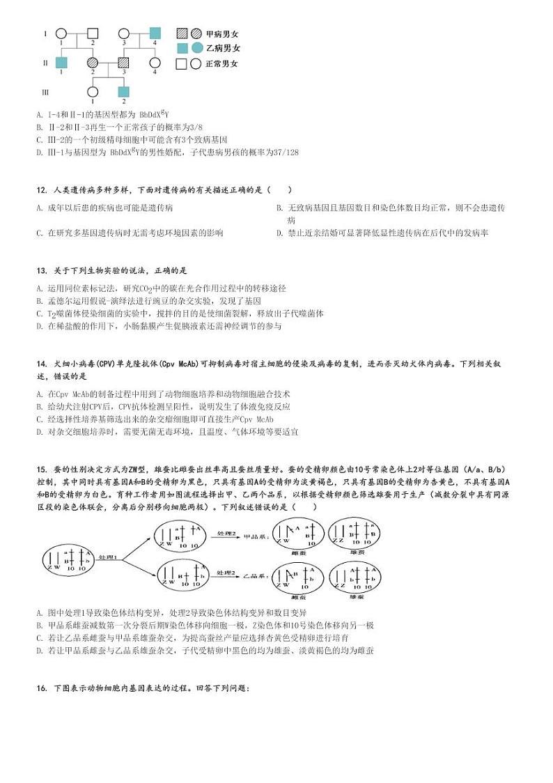 2024～2025学年四川高三(上)月考生物试卷(名校联盟 第二次联考)[原题+解析]第3页